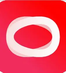 直播伴侣 Logo